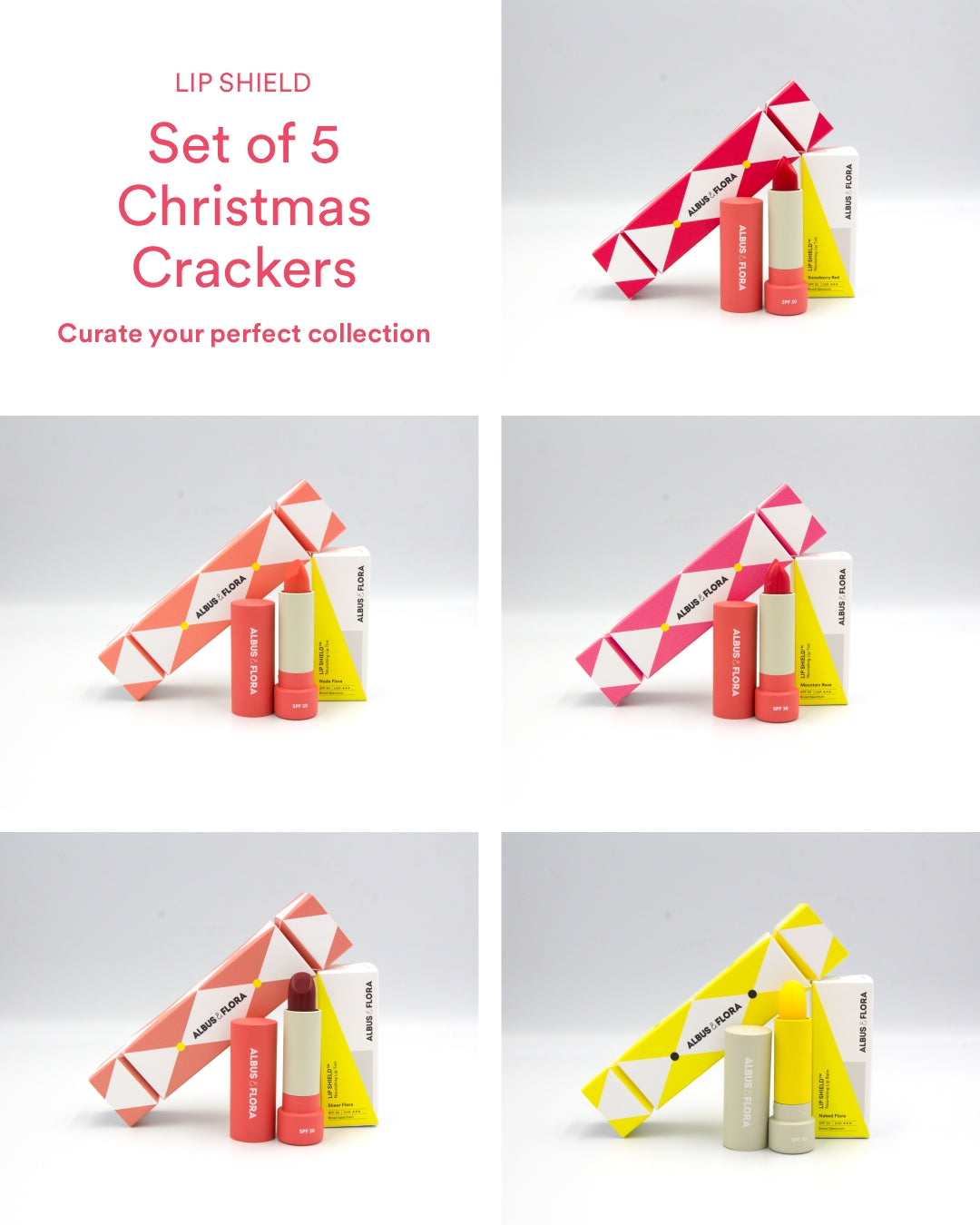 Lip Shield Set Of 5 Christmas Crackers